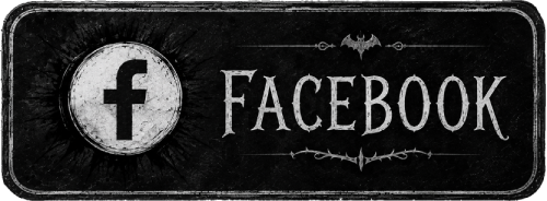 Facebook AjemFyzio